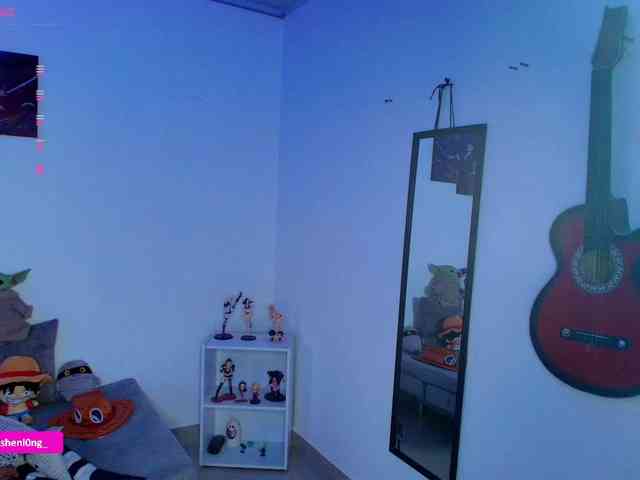Nicorobin webcam