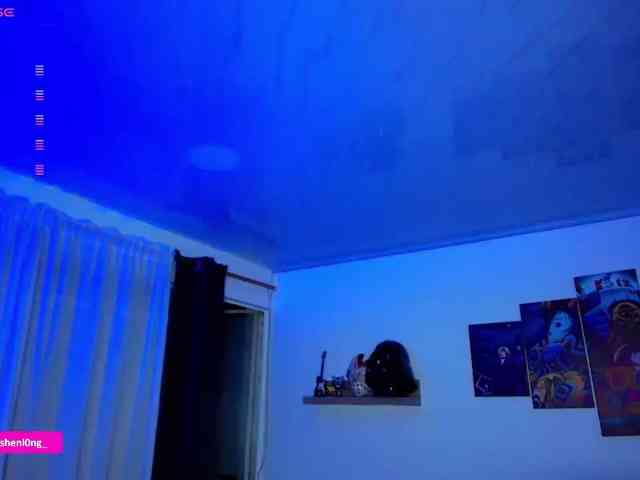 Nicorobin webcam
