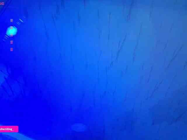 Nicorobin webcam