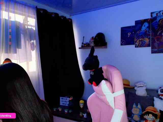 Nicorobin webcam