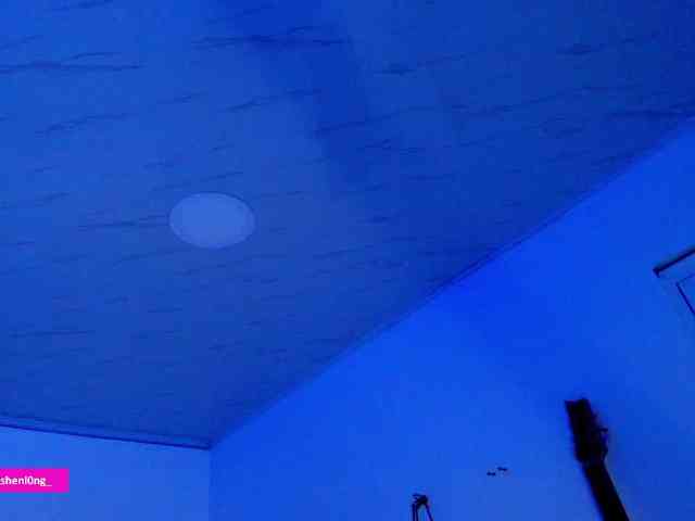 Nicorobin webcam