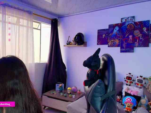 Nicorobin webcam