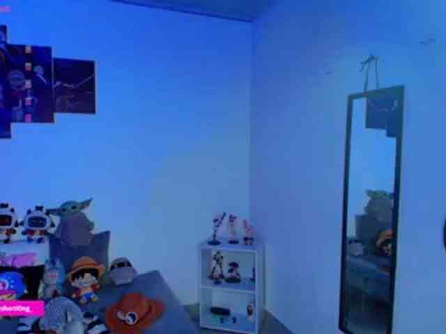 Nicorobin webcam