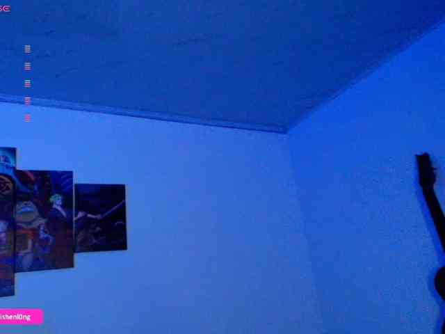 Nicorobin webcam