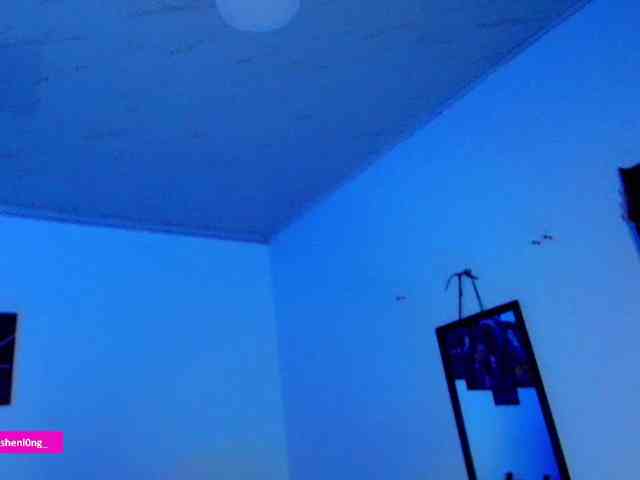 Nicorobin webcam