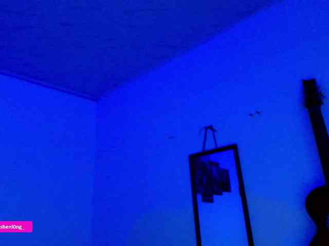 Nicorobin webcam