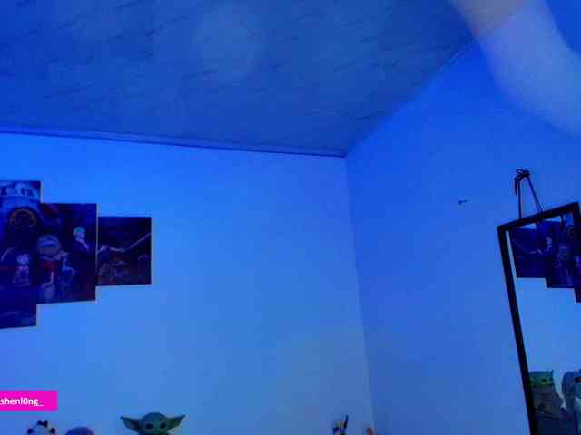 Nicorobin webcam
