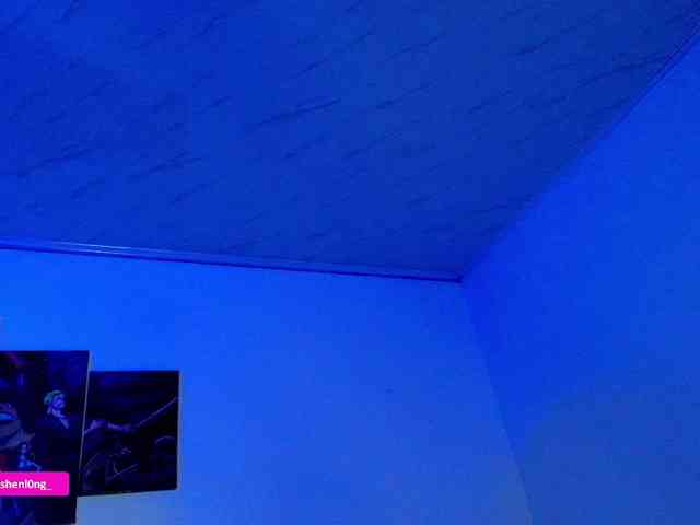 Nicorobin webcam