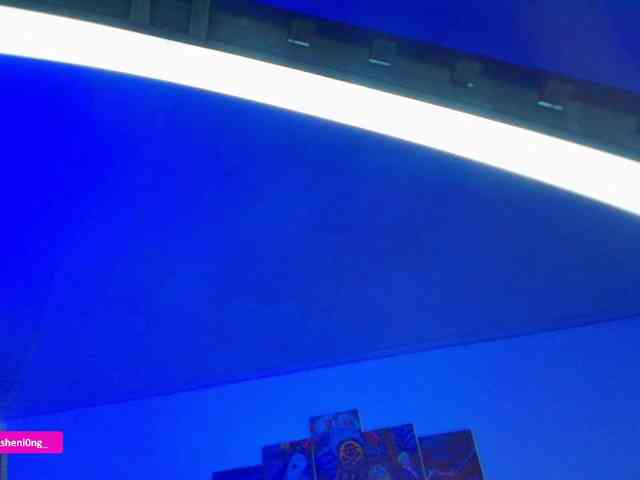 Nicorobin webcam