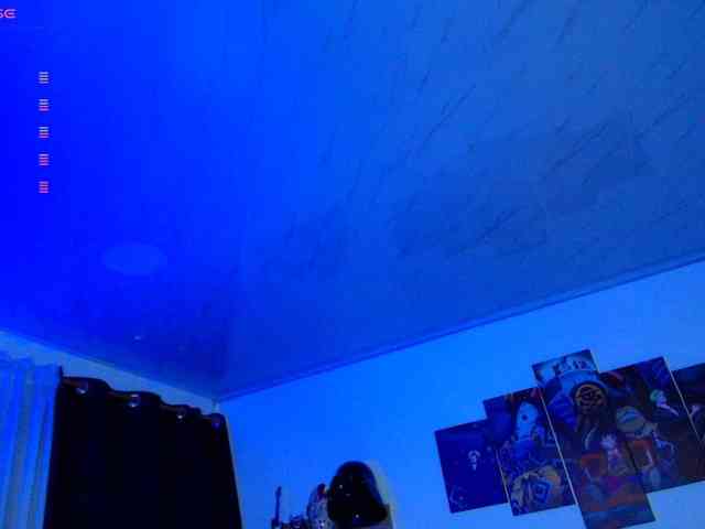 Nicorobin webcam