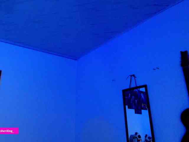 Nicorobin webcam