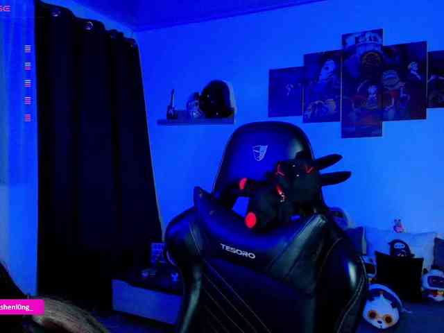 Nicorobin webcam
