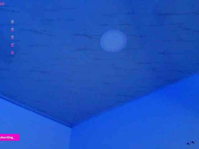 Nicorobin webcam