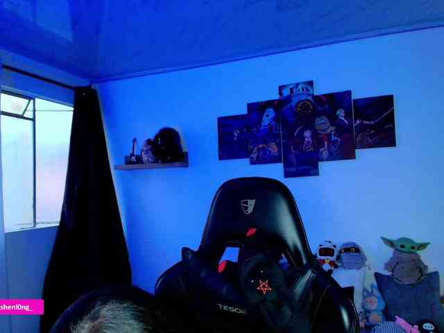 Nicorobin webcam