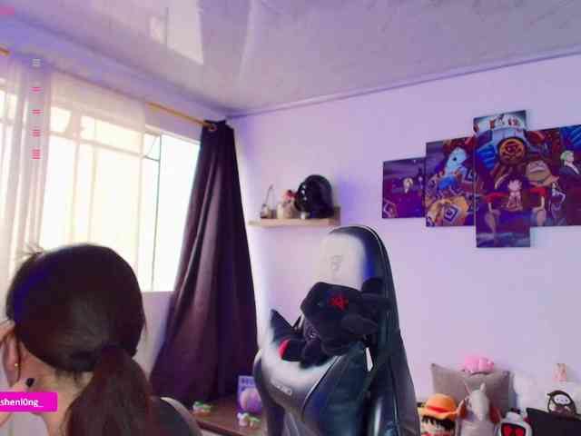 Nicorobin webcam