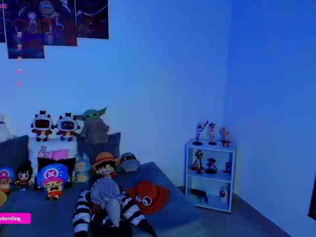 Nicorobin webcam