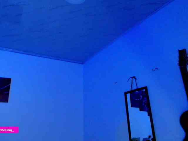 Nicorobin webcam