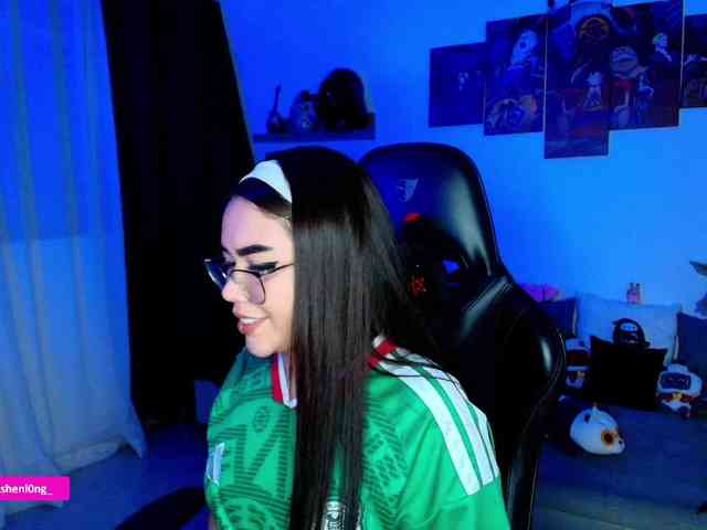 Nicorobin webcam