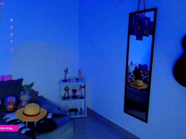 Nicorobin webcam