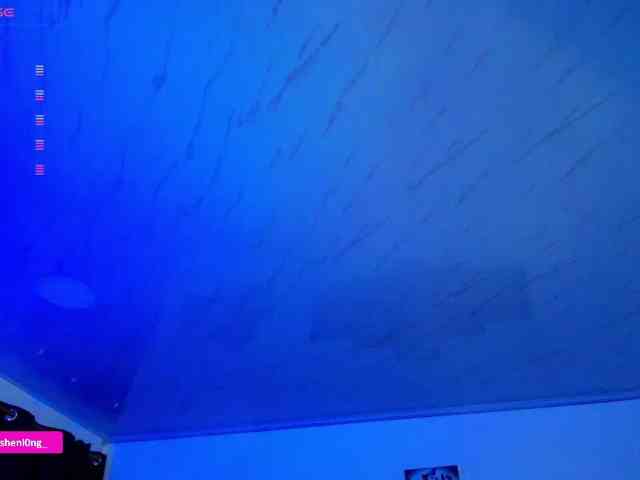 Nicorobin webcam