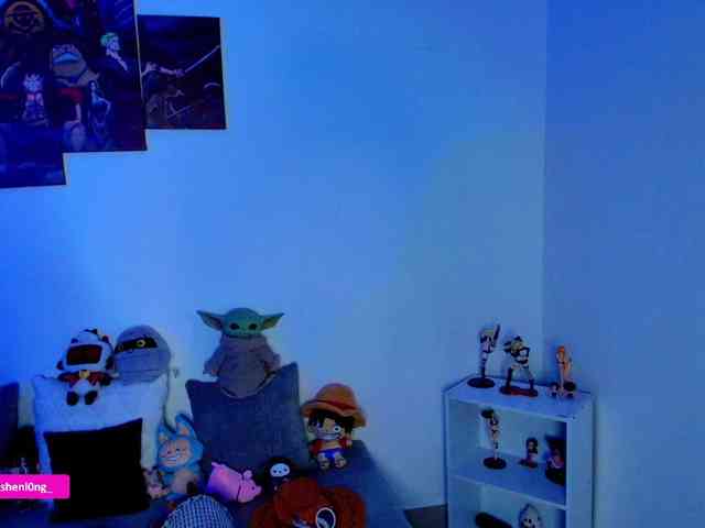 Nicorobin webcam