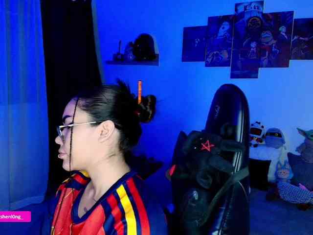 Nicorobin webcam