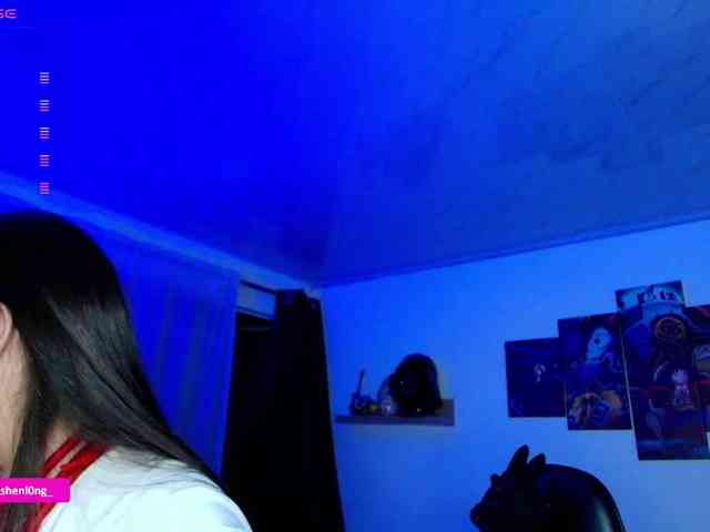 Nicorobin webcam