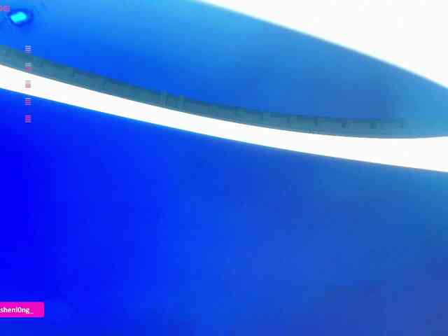Nicorobin webcam