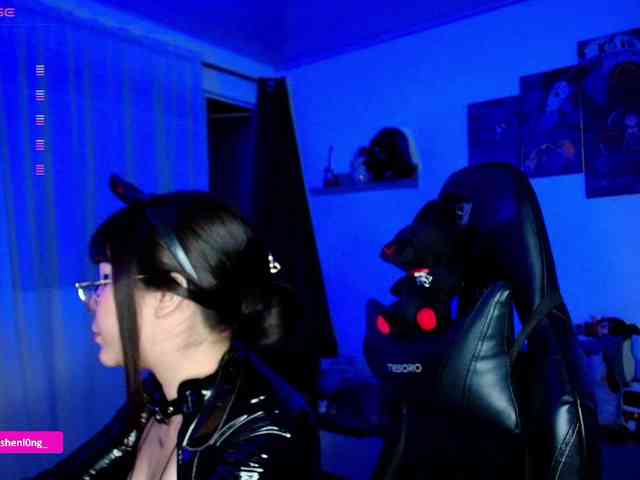 Nicorobin webcam