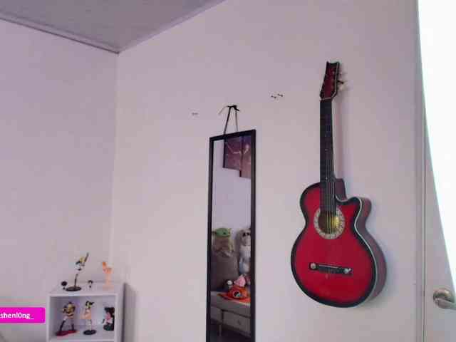 Nicorobin webcam