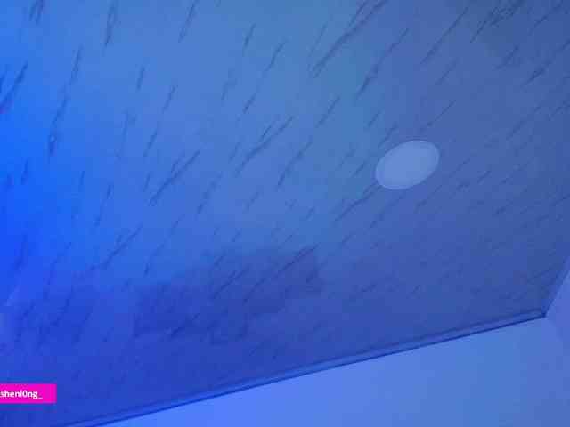 Nicorobin webcam