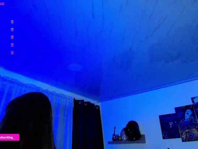 Nicorobin webcam