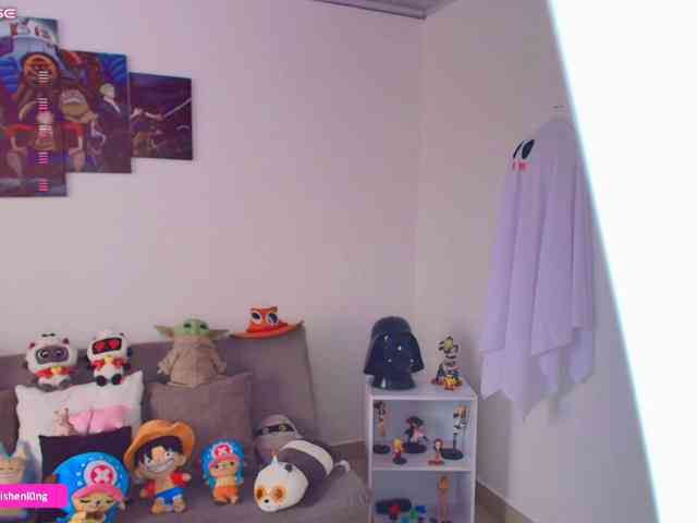 Nicorobin webcam