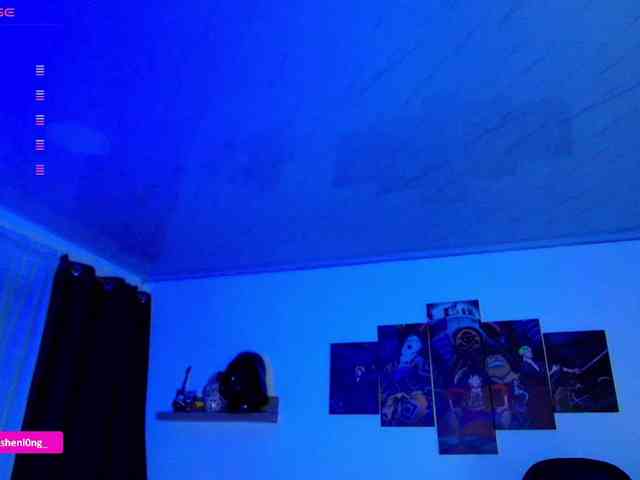 Nicorobin webcam