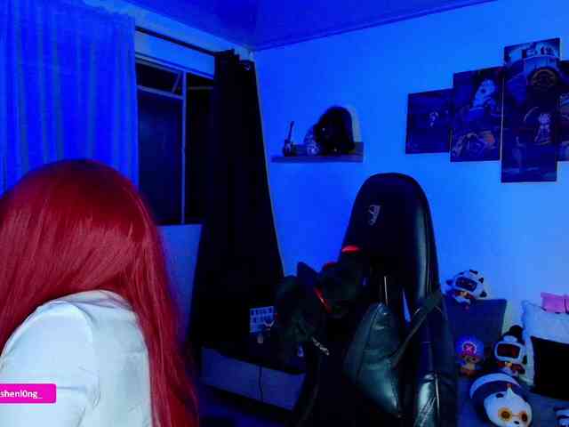 Nicorobin webcam