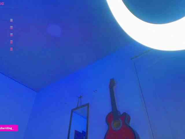 Nicorobin webcam