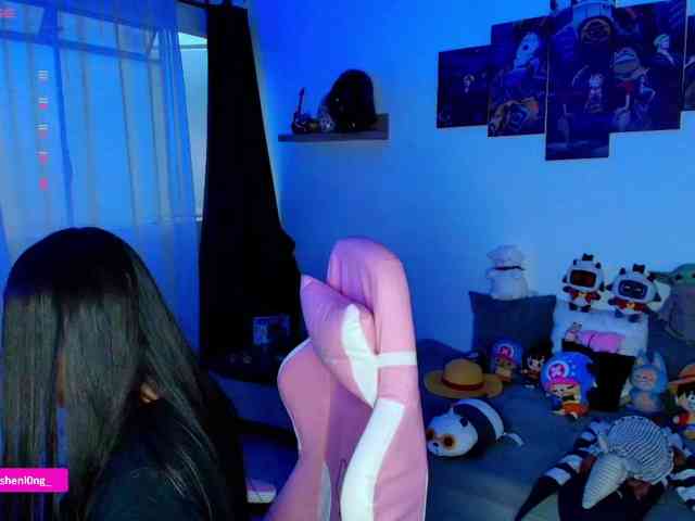 Nicorobin webcam
