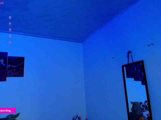 Nicorobin webcam