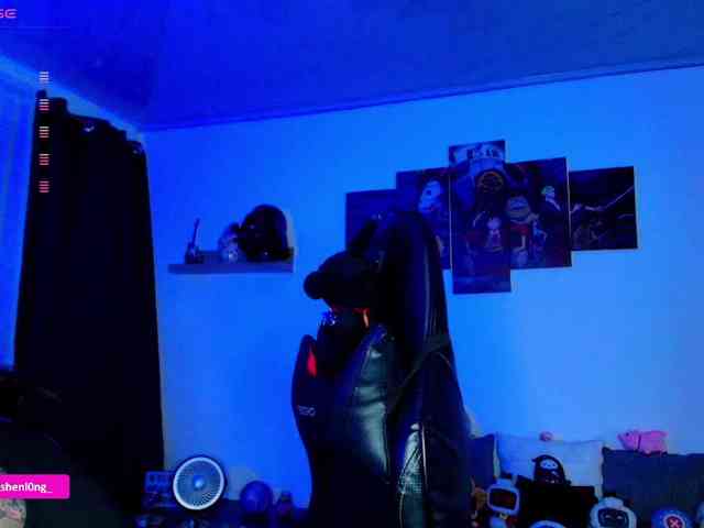 Nicorobin webcam