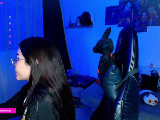 Nicorobin webcam