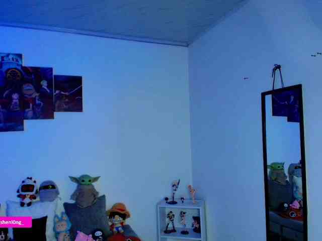 Nicorobin webcam