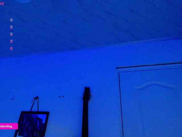 Nicorobin webcam