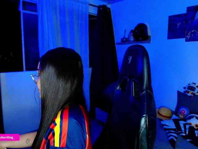 Nicorobin webcam