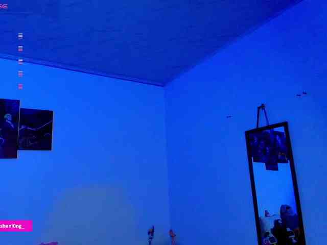 Nicorobin webcam