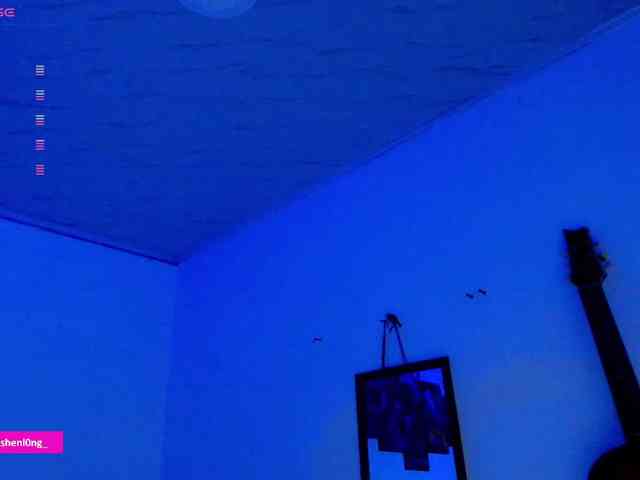 Nicorobin webcam