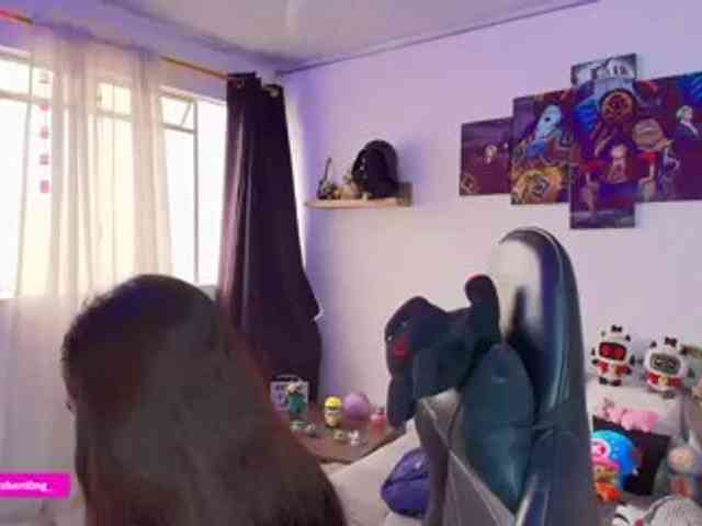 Nicorobin webcam