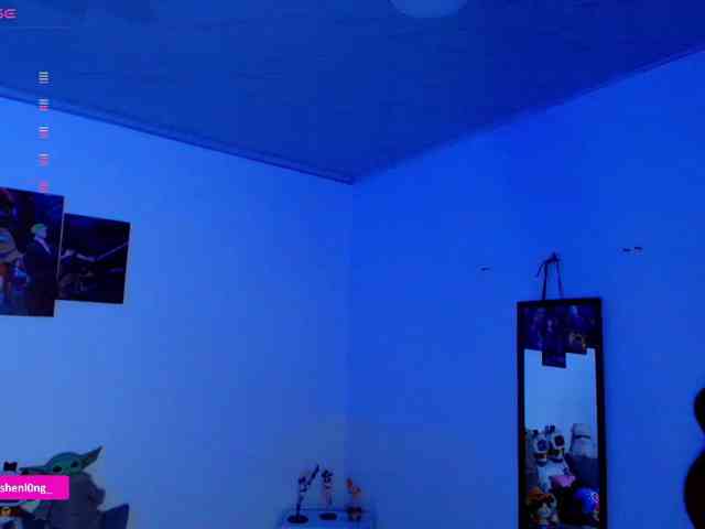 Nicorobin webcam