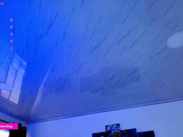 Nicorobin webcam