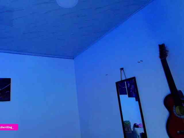 Nicorobin webcam