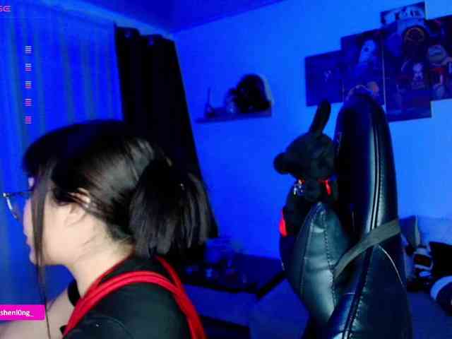 Nicorobin webcam